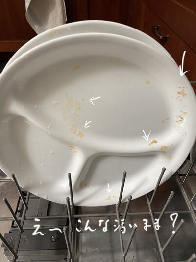 2023-04-11-dish1