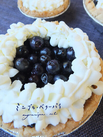 2021-06-15-blueberry8