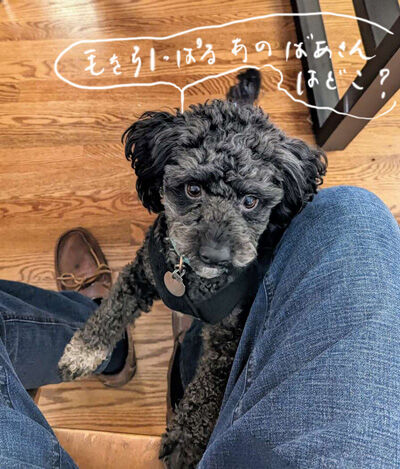 2023-12-13-oreo1