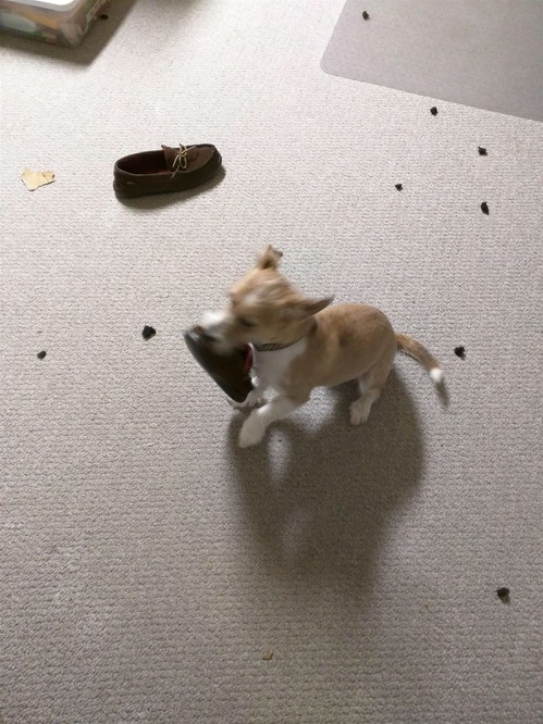 02DEF782-AF07-424F-A066-3757E1D98B1E