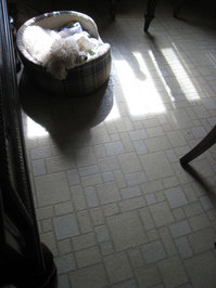 2010_02_20_chibi4