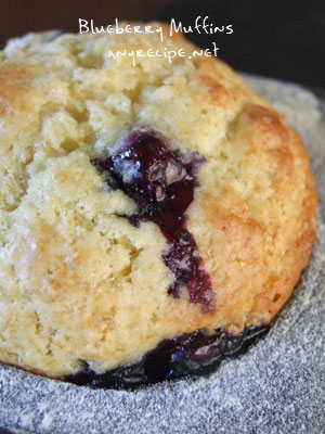 2013-06-04-blueberrymuffin1