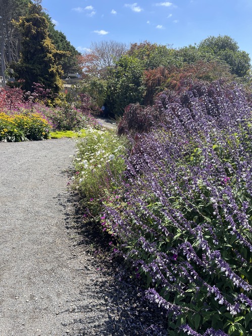 2025-08-30-botanicalgarden (9)