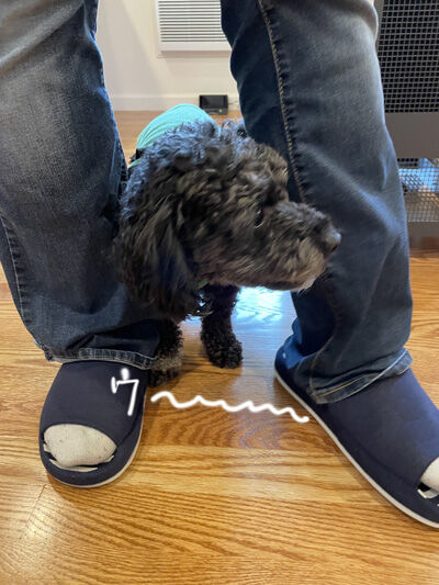 2023-12-17-charlie6