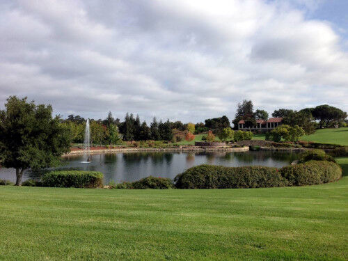 2025-01-25-cemetery1