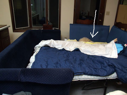 2016-01-19-sofabed1