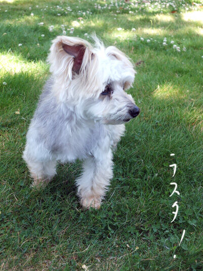 2021-05-09-rasta1