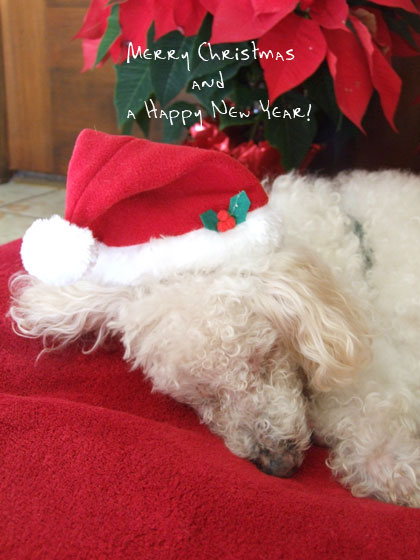 2014-12-23-chibisanta2