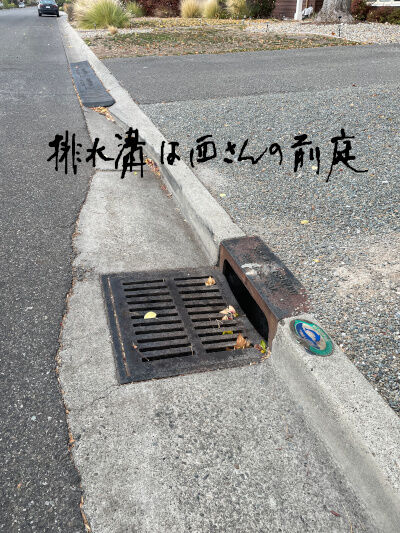 2024-11-24-flood6