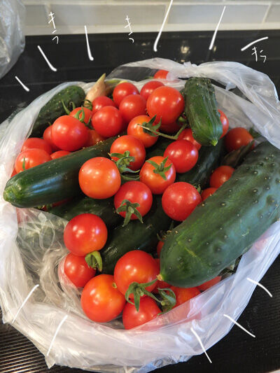 2021-09-07-veggie1