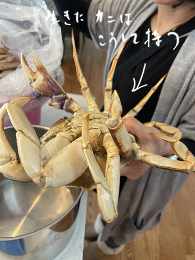 2024-02-10-crab2