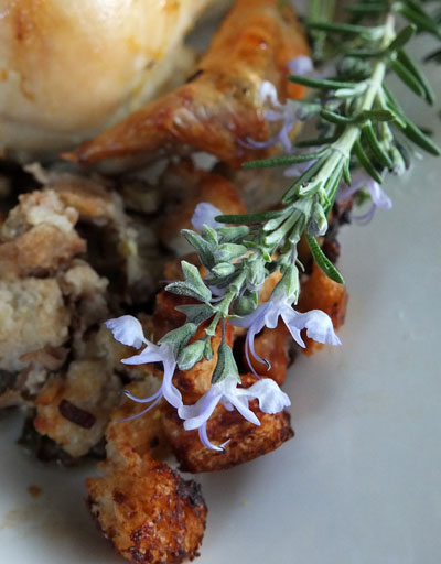 2016-12-21-roastchicken4