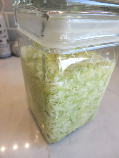 2018-02-27-saurkraut3