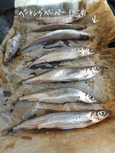 2020-12-21-fish5