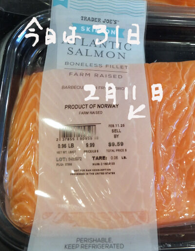 2025-01-31-salmon2