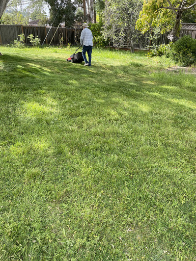 2024-04-28-yard2