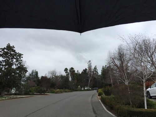 2021-01-24-rain1