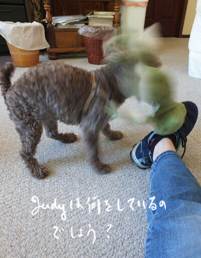 2023-02-17-judy1