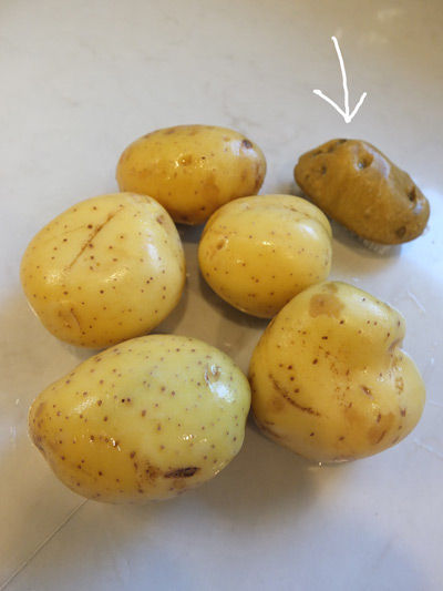 2019-09-15-potatoskin6