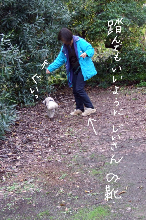 2018-03-11-chibi2