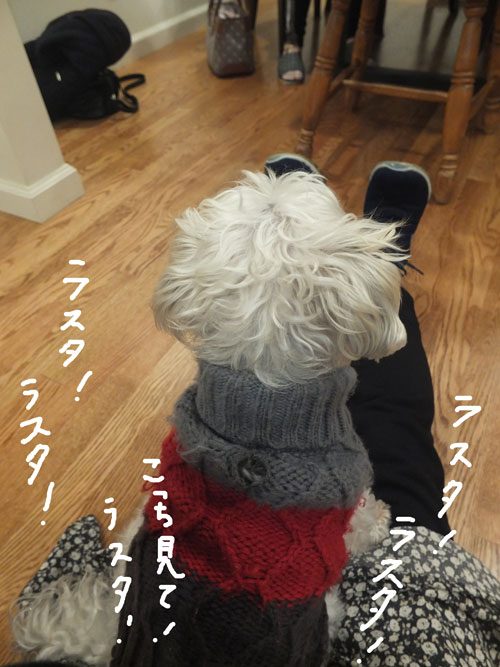 2019-01-19-rasta1