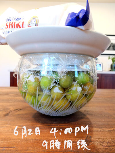 2025-06-05-umeboshi6