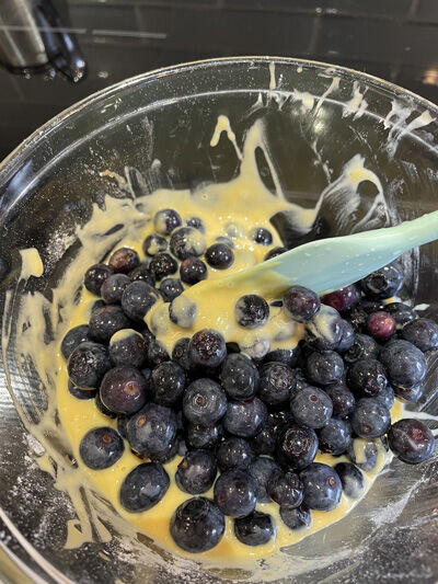 2023-03-12-blueberry6