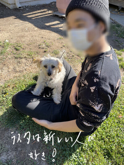 2021-10-09-dog8
