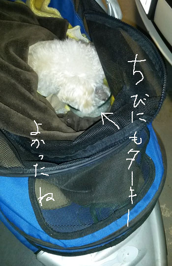 2015-11-26-chibi3