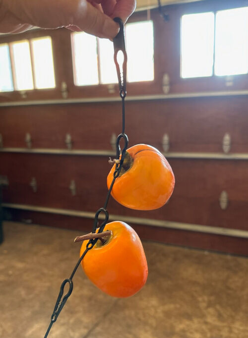 2025-12-03-hoshigaki5