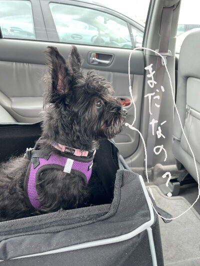 2025-03-14-kiki10