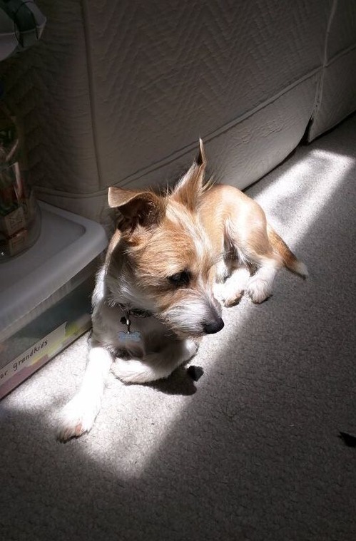 E49D9D1D-64D0-49CF-8AB7-4D44315771F4