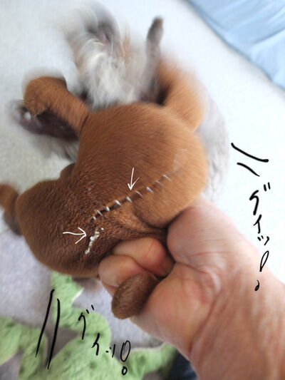2021-08-02-judy2