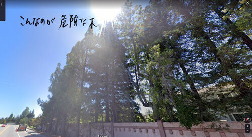 2023-03-21-tree2