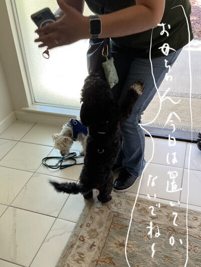2023-07-09-oreo5