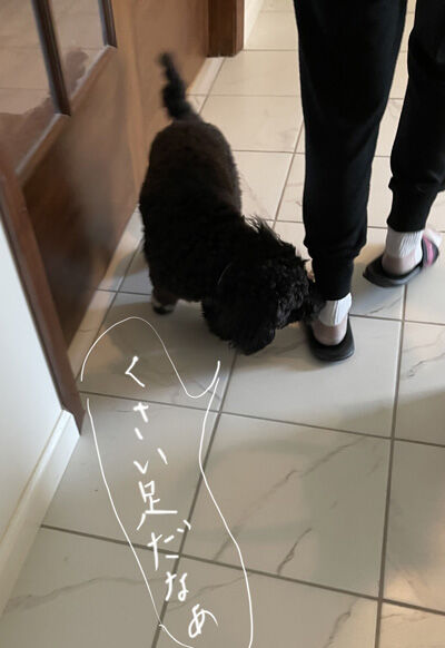 2022-02-11-oreo7