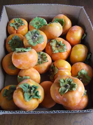 2014-10-21-persimons