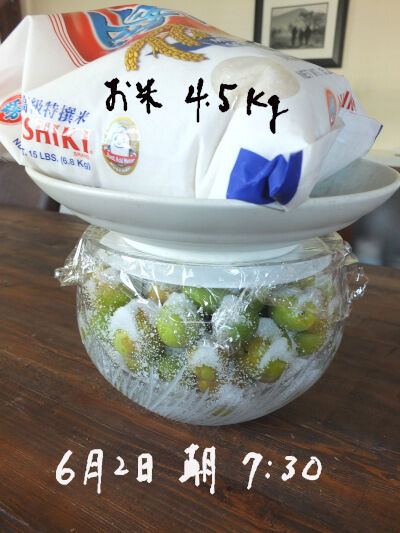 2025-06-05-umeboshi5