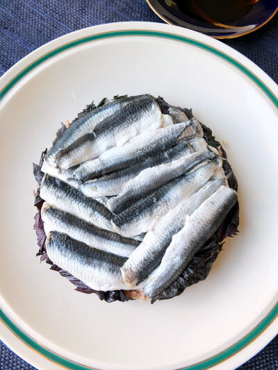 2026-08-31-sardine3