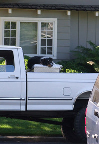 2011_09_08_katyasleep