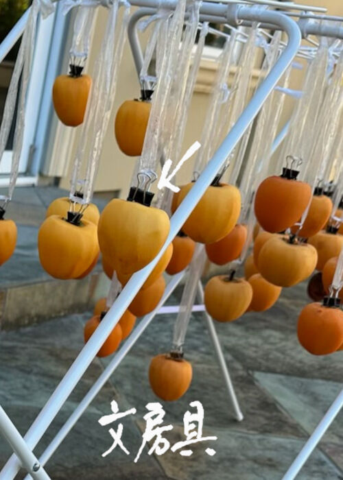 2025-12-03-hoshigaki8