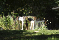 2012-10-04-3