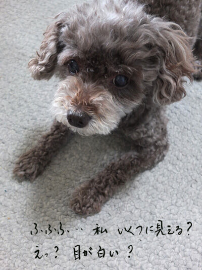 2021-08-08-judy1
