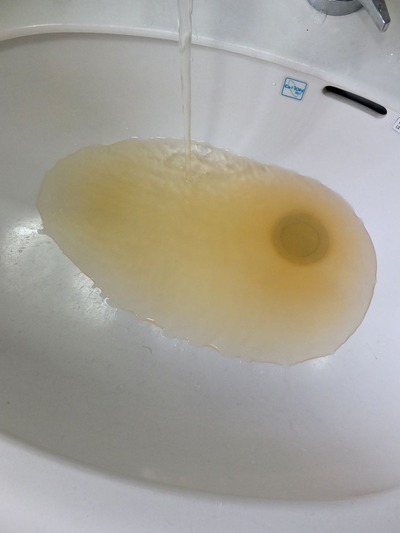 E906ACED-8E0B-44D6-B614-968E0CDEBA88