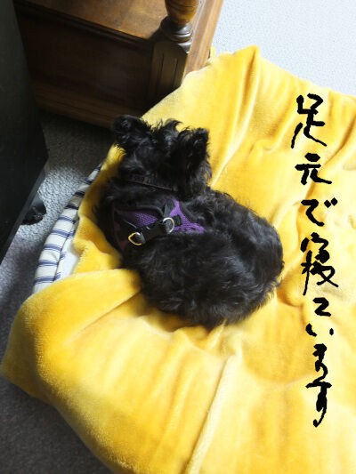 2025-03-16-kiki2