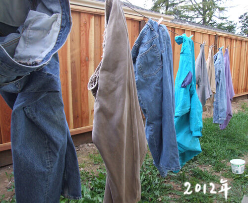 2024-07-18-clotheline2