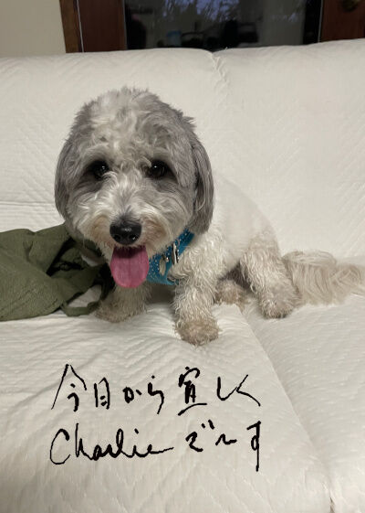 2025-07-29-charlie1
