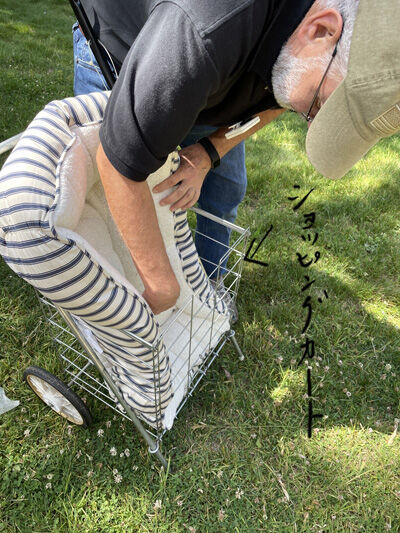 2022-05-02-cart1