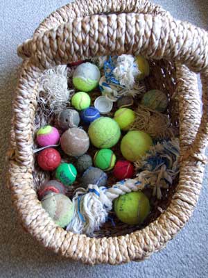 2015-07-14-basket