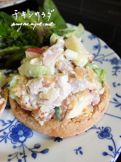 2025-03-21-chickensalad1